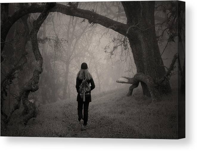 Walking Away Canvas Print featuring the photograph Walking into the misty forest path #2 by Alessandra RC