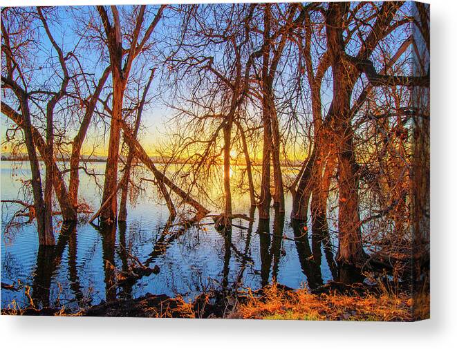 Autumn Canvas Print featuring the photograph Twisted Trees On Lake at Sunset by Tom Potter