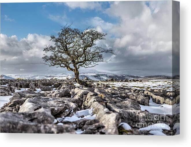 England Canvas Print featuring the photograph Winskill Stones by Tom Holmes Photography