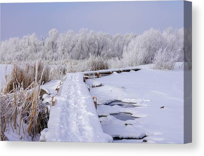 Lake Canvas Print featuring the photograph Winter Wonderland at Purgatory Creek #1 by Susan Rydberg