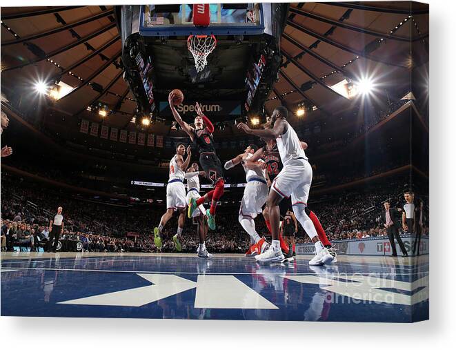 Chicago Bulls Canvas Print featuring the photograph Zach Lavine by Nathaniel S. Butler