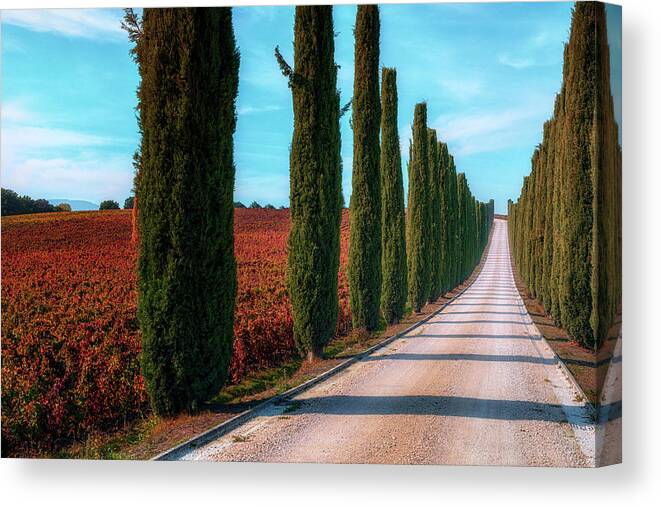 Montefalco Canvas Print featuring the photograph Montefalco - Italy #10 by Joana Kruse