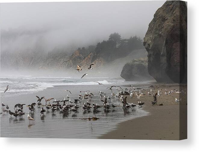  Canvas Print featuring the photograph San Simeon #16 by Lars Mikkelsen