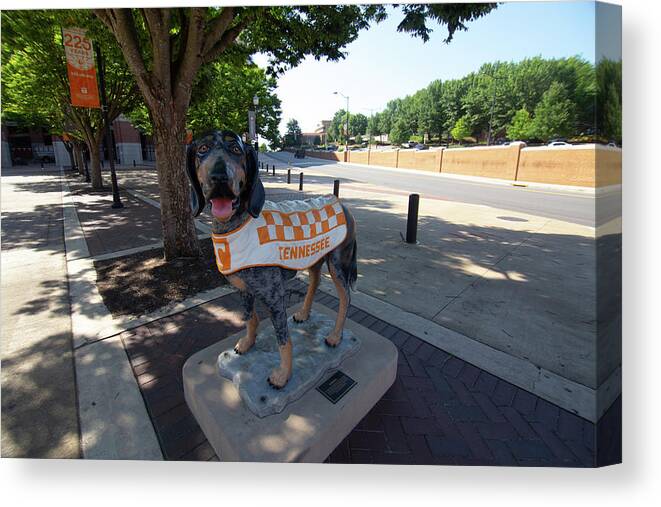 Tennessee Vols Canvas Print featuring the photograph University of Tennesse Smokey Statue #1 by Eldon McGraw