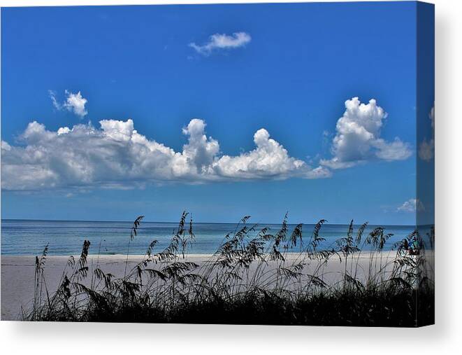  Canvas Print featuring the photograph Naples Beach by Donn Ingemie