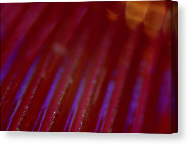 Abstract Canvas Print featuring the photograph Abstract #7 by Neil R Finlay