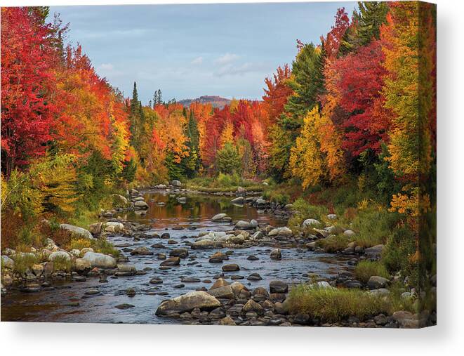 Autumn Canvas Print featuring the photograph Autumn River #2 by White Mountain Images
