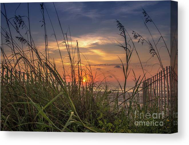 Myrtle Canvas Print featuring the photograph Beach Sunrise by Darrell Foster