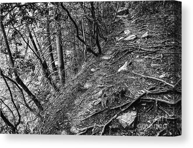 Tennessee Canvas Print featuring the photograph Black And White Trail #2 by Phil Perkins