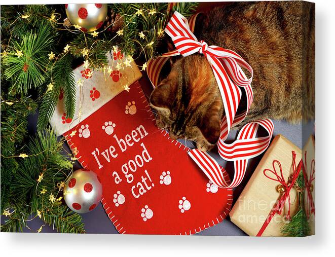 Christmas Canvas Print featuring the photograph Christmas pet stocking with family cat in festive setting. #2 by Milleflore Images
