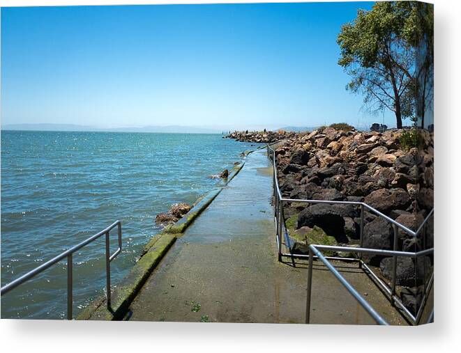 Scenics Canvas Print featuring the photograph Crown Memorial State Beach #2 by Gado Images