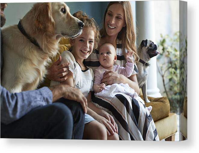Pets Canvas Print featuring the photograph Family sitting together in sofa with their dogs by Klaus Vedfelt