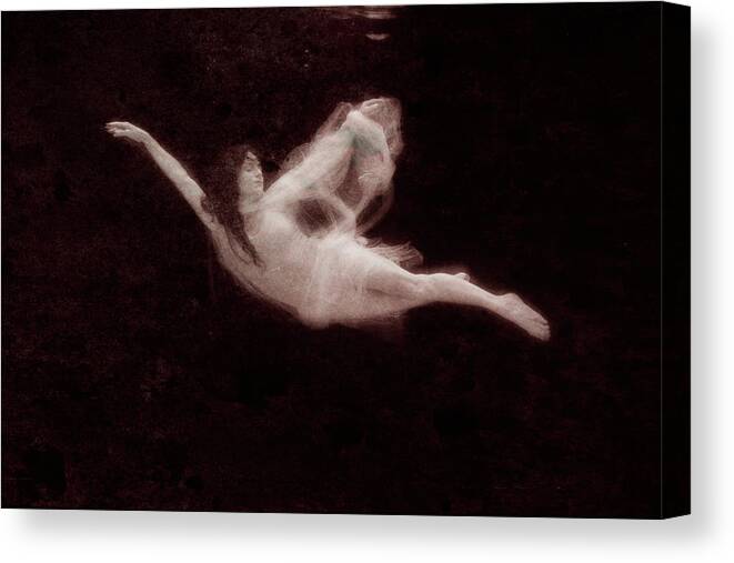Underwater Canvas Print featuring the photograph Floating by Dan Friend