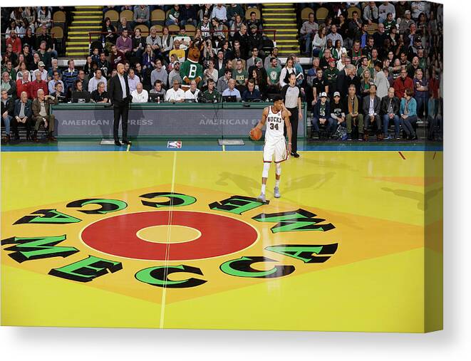 Nba Pro Basketball Canvas Print featuring the photograph Giannis Antetokounmpo by Nba Photos