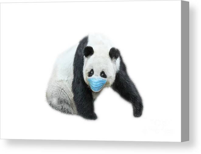 Covid 19 China Canvas Print featuring the photograph Giant Panda with surgical mask #2 by Benny Marty
