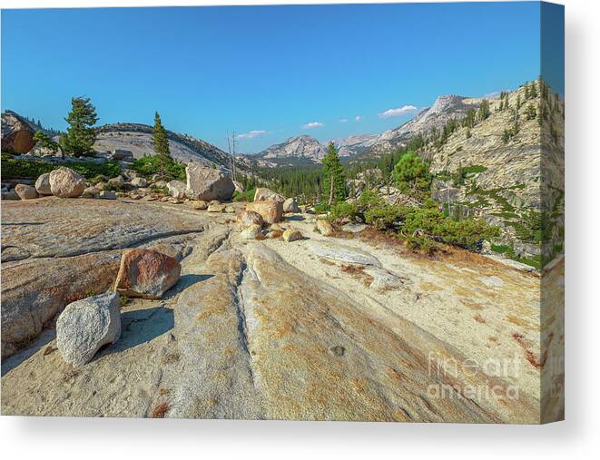 Yosemite National Park Canvas Print featuring the photograph panorama at Olmsted Point #2 by Benny Marty