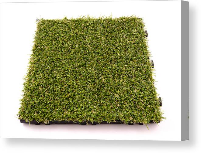 Flexibility Canvas Print featuring the photograph Patch of Artificial Turf #2 by StockImages_AT