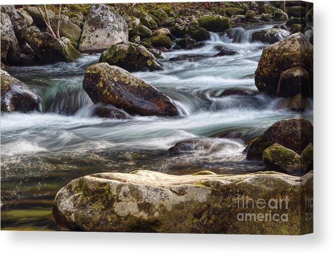 Tremont Canvas Print featuring the digital art River Rapids #2 by Phil Perkins