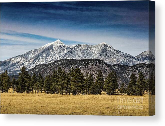 America Canvas Print featuring the photograph San Francisco Peaks, Arizona by Thomas Marchessault