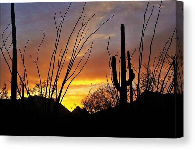 Amazing Sunsets Canvas Print featuring the photograph Tucson Arizona Sunset #2 by Dennis Boyd