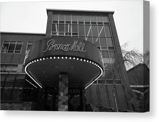 Western Michigan University Canvas Print featuring the photograph Broncos Mall at Western Michigan University in black and white #3 by Eldon McGraw