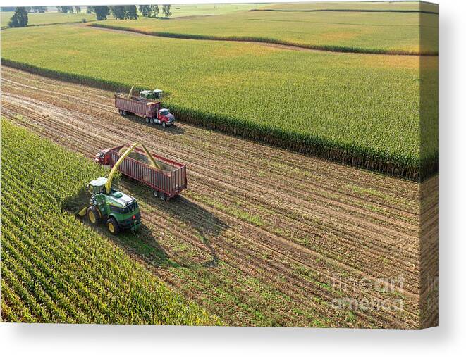 Corn Canvas Print featuring the photograph Corn Harvest #3 by Jim West
