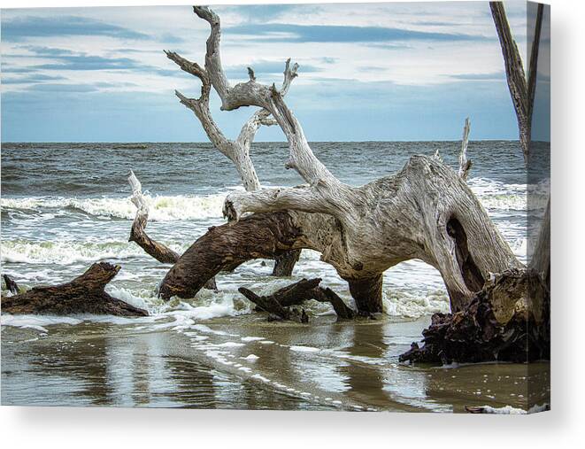 Driftwood Canvas Print featuring the photograph Driftwood Beach #4 by Randy Bayne