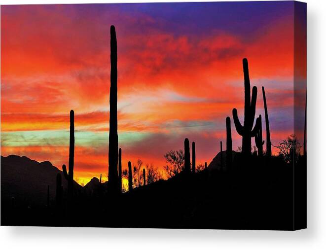 Amazing Sunsets Canvas Print featuring the photograph Sonoran Sunset #3 by Dennis Boyd