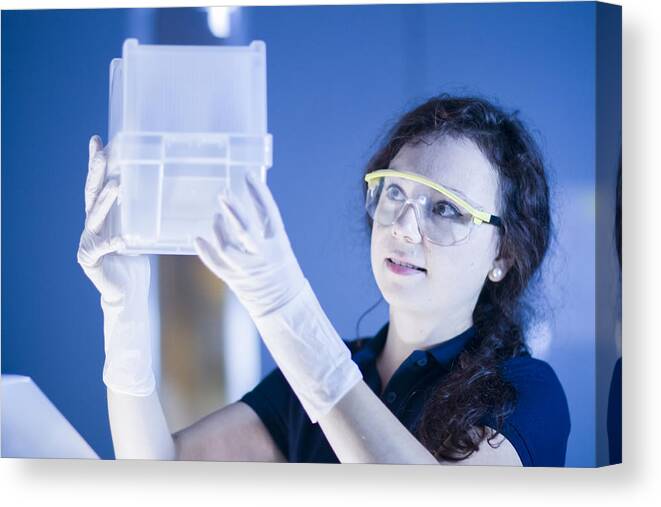 Working Canvas Print featuring the photograph Technician working in laboratory #3 by Sigrid Gombert
