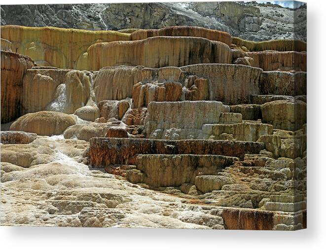 Mammoth Hot Springs Canvas Print featuring the photograph Yellowstone NP - Mammoth Hot Springs #5 by Richard Krebs