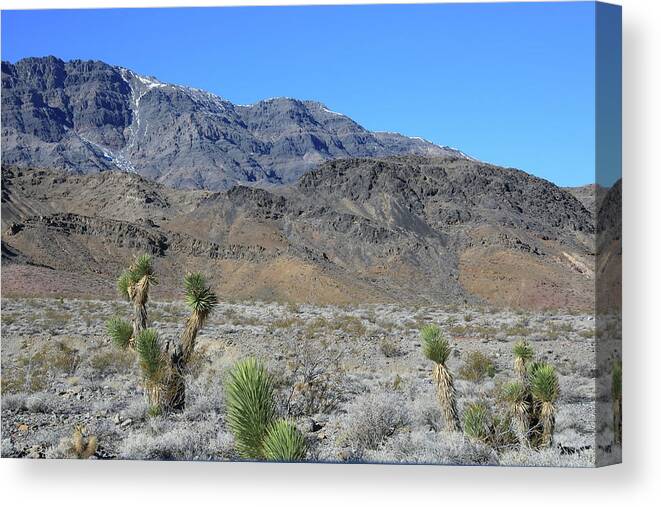 California Canvas Print featuring the photograph Death Valley National Park #30 by Jonathan Babon