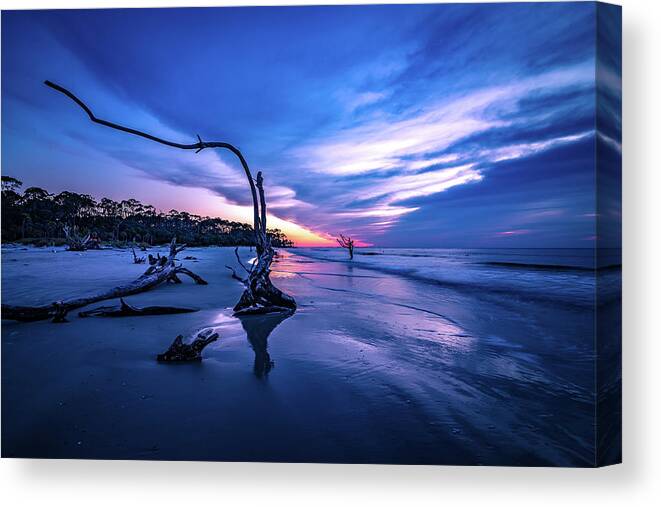 Wildlife Canvas Print featuring the photograph Hunting island south carolina beach scenes #30 by Alex Grichenko