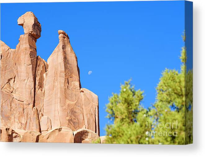 Arches National Park Canvas Print featuring the photograph Arches National Park #31 by Raul Rodriguez