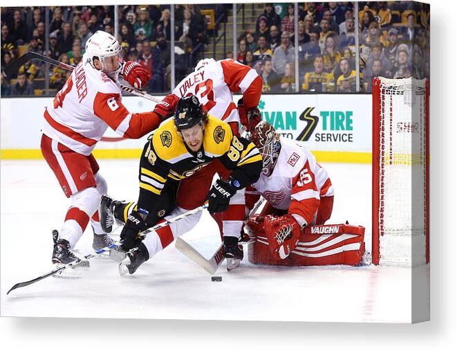 People Canvas Print featuring the photograph Detroit Red WIngs v Boston Bruins #35 by Maddie Meyer