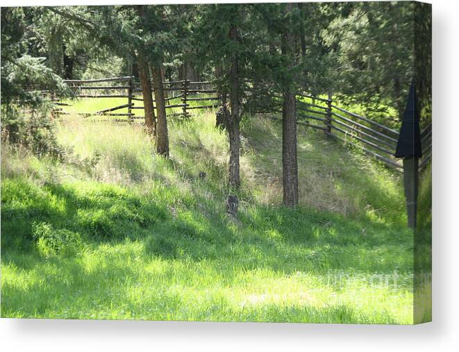 Fences Canvas Print featuring the photograph Evening Light #4 by Roland Stanke