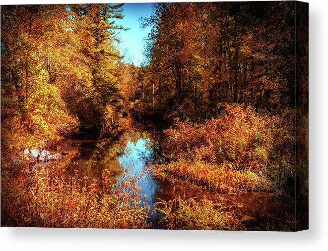 Fall Landscape Canvas Print featuring the photograph Golden autumn a by Lilia S