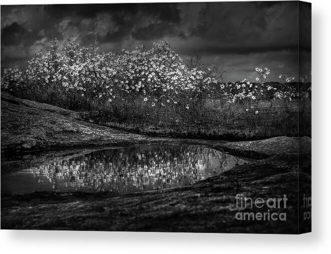 Black And White Canvas Print featuring the photograph Untitled 4 by Doug Sturgess