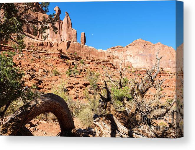 Arches National Park Canvas Print featuring the photograph Arches National Park #41 by Raul Rodriguez