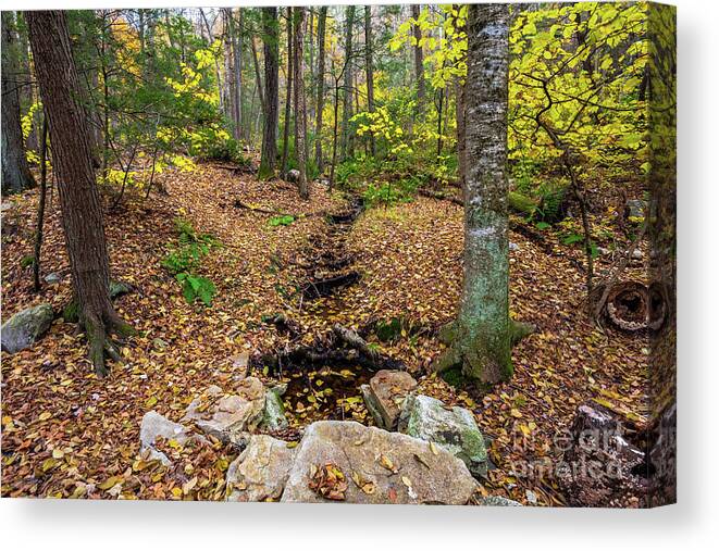 2018 Canvas Print featuring the photograph Appalachian Autumn by Stef Ko