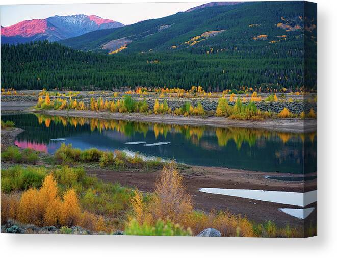 Co Canvas Print featuring the photograph Aspens by Doug Wittrock