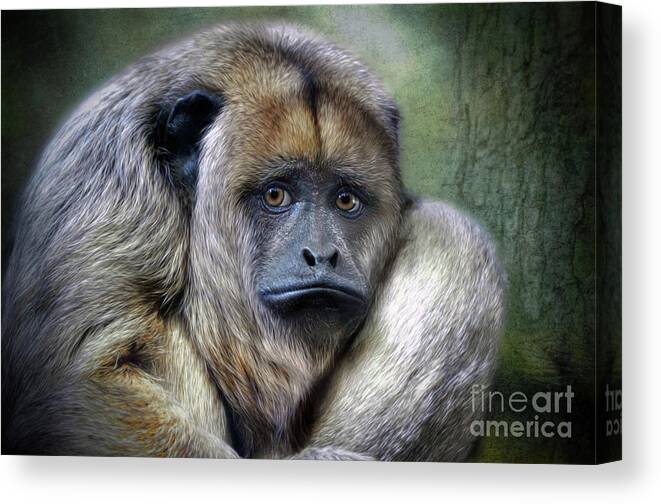 Howler Monkey Sad Canvas Print featuring the digital art HOWLER Monkey #5 by Savannah Gibbs