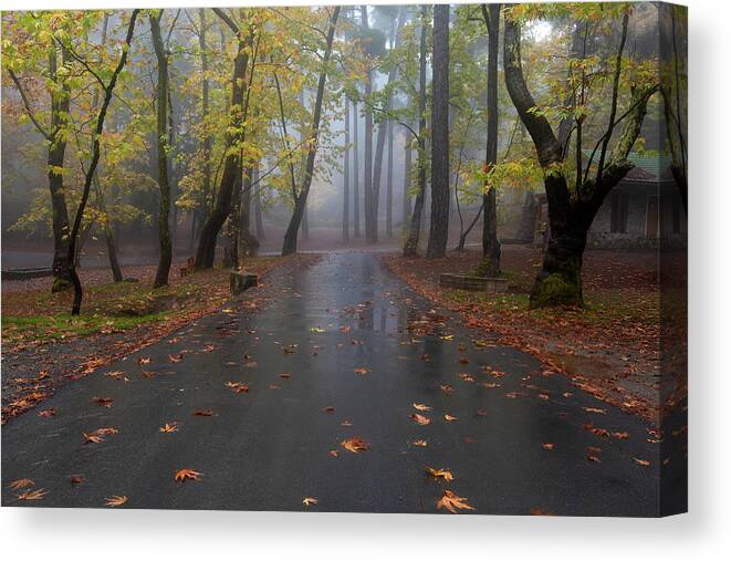 Autumn Canvas Print featuring the photograph Autumn landscape with trees and Autumn leaves on the ground after rain by Michalakis Ppalis