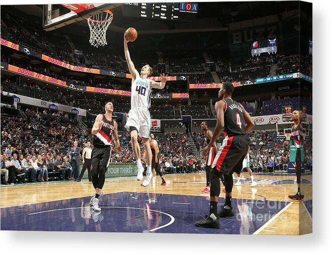 Nba Pro Basketball Canvas Print featuring the photograph Cody Zeller by Kent Smith