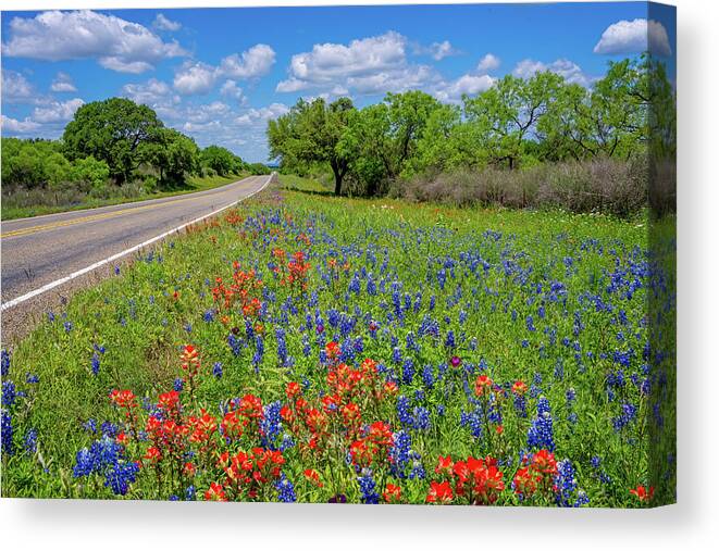Texas Wildflowers Canvas Print featuring the photograph A Gorgeous Spring Drive by Lynn Bauer