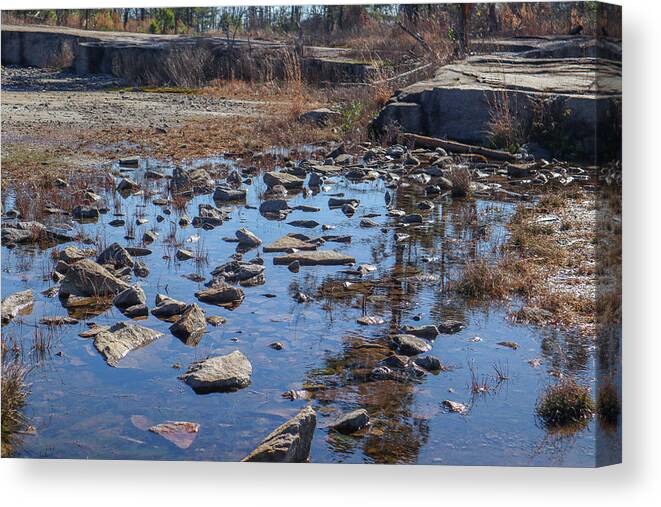 Arabia Mountain Canvas Print featuring the photograph A Granite Rocks Pool by Ed Williams