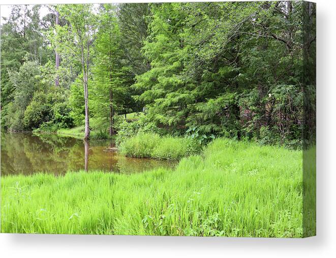 Lockerly Arboretum Canvas Print featuring the photograph A Green Pond Corner by Ed Williams
