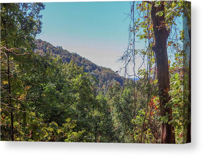 Mountain Canvas Print featuring the photograph A Literal Mountainside by Ed Williams