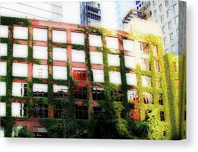 Ivy Canvas Print featuring the photograph A Mossy Reflection by Simone Hester