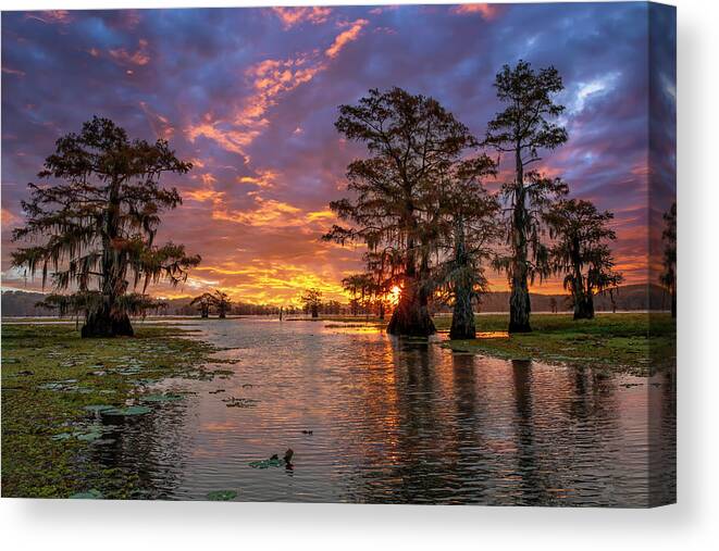 Texas Canvas Print featuring the photograph Texas Print-Morning at Caddo Lake by Harriet Feagin