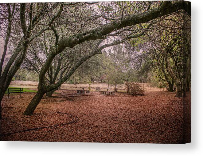 Park Canvas Print featuring the photograph A Park at Loomis Library by Sally Bauer